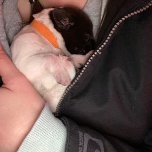 Meet your Posher, Malin